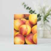 Hintergrund der Nektarinen Postkarte (Stehend Vorderseite)