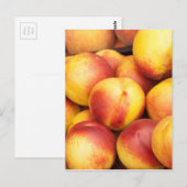 Hintergrund der Nektarinen Postkarte (Vorne/Hinten)