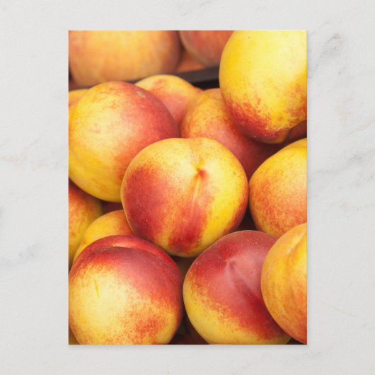 Hintergrund der Nektarinen Postkarte (Vorderseite)
