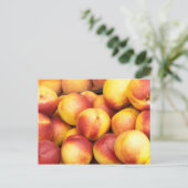 Hintergrund der Nektarinen Postkarte (Stehend Vorderseite)