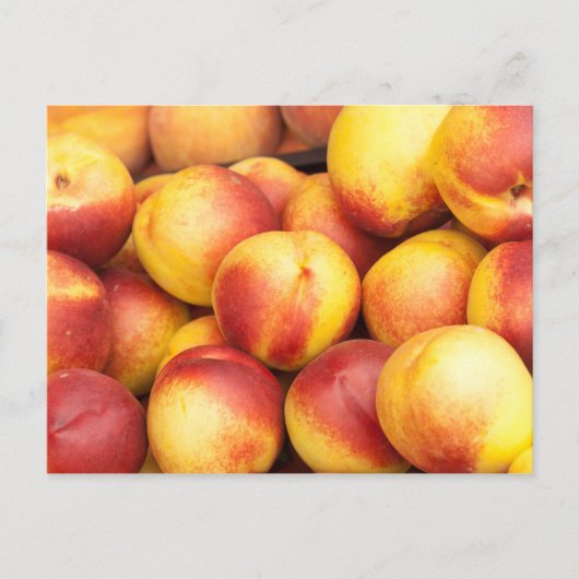 Hintergrund der Nektarinen Postkarte (Vorderseite)