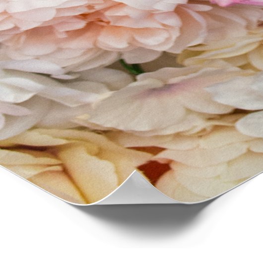 Hintergrund der Rose Poster (Ecke)