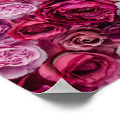 Hintergrund der Rose Poster (Ecke)