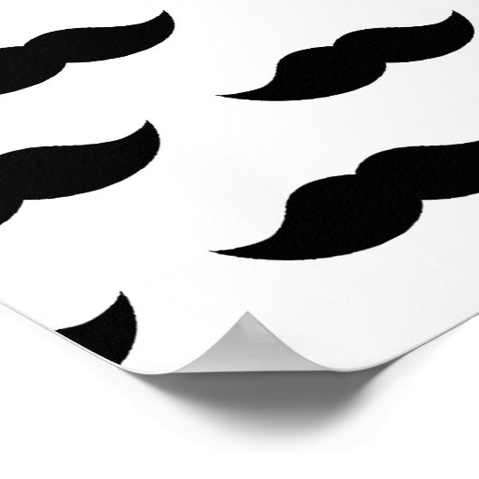 Hintergrund der Schwarzen Schleiche Poster (Ecke)