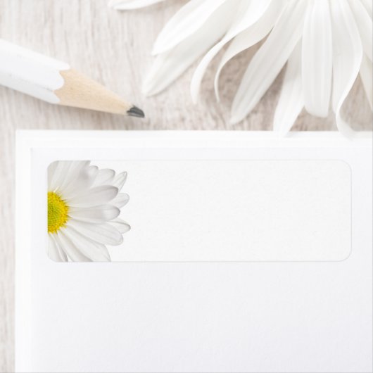 Hintergrund der White Daisy Blume - kundenspezifis (Insitu)