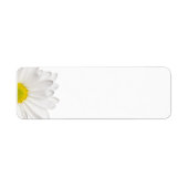 Hintergrund der White Daisy Blume - kundenspezifis (Vorne)