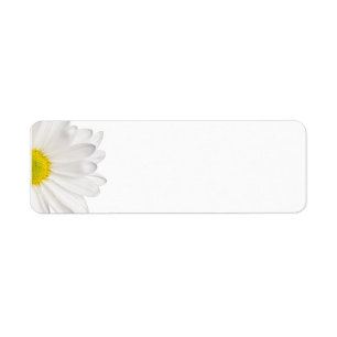 Hintergrund der White Daisy Blume - kundenspezifis