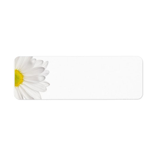 Hintergrund der White Daisy Blume - kundenspezifis (Vorne)