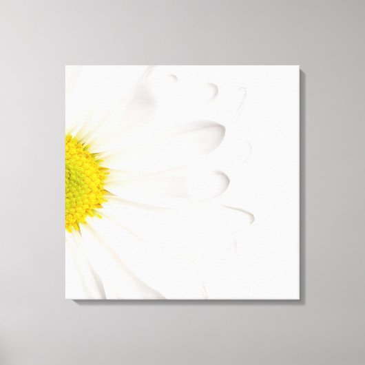 Hintergrund der White Daisy Blume - kundenspezifis Leinwanddruck (Vorderseite)