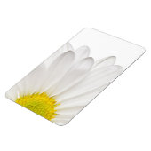 Hintergrund der White Daisy Blume - kundenspezifis Magnet (Linke Seite)