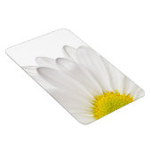 Hintergrund der White Daisy Blume - kundenspezifis Magnet (Rechte Seite)