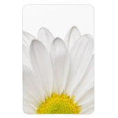 Hintergrund der White Daisy Blume - kundenspezifis Magnet (Vertikal)