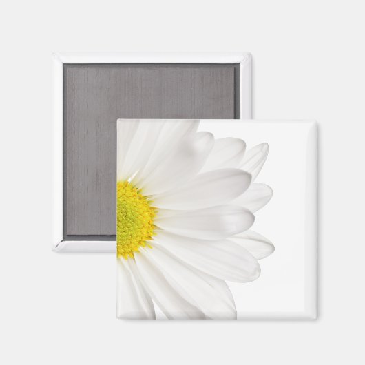 Hintergrund der White Daisy Blume - kundenspezifis Magnet (Vorderseite/Rückseite)