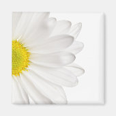 Hintergrund der White Daisy Blume - kundenspezifis Magnet (Vorne)