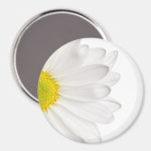 Hintergrund der White Daisy Blume - kundenspezifis Magnet (Vorderseite/Rückseite)