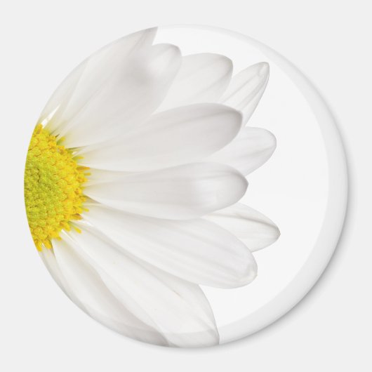 Hintergrund der White Daisy Blume - kundenspezifis Magnet (Vorne)