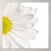 Hintergrund der White Daisy Blume - kundenspezifis Poster (Vorne)