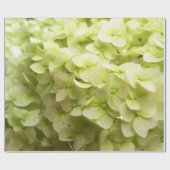 Hintergrund der White Hydrangea-Blume Geschenkpapier (Flach)
