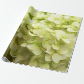 Hintergrund der White Hydrangea-Blume Geschenkpapier (Ungerollt)