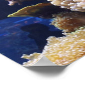 Hintergrund des Aquariums Poster (Ecke)