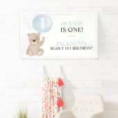 Hintergrund des Banners "Beary First Birthday" Banner (Insitu)