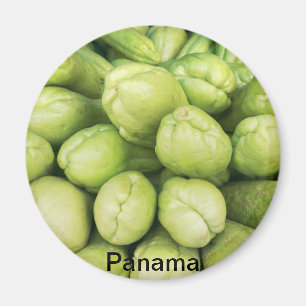 Hintergrund des Bio Choko-Setsuiu-Terminals Magnet