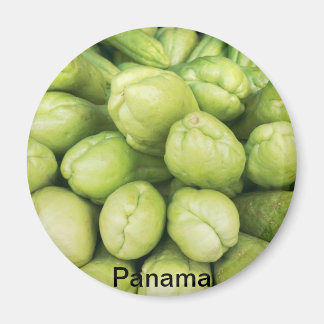 Hintergrund des Bio Choko-Setsuiu-Terminals Magnet