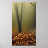 Hintergrund des ruhigen Waldes Poster (Vorne)