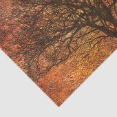 Hintergrund des rustikalen Herbstbaums Seidenpapier (Ausschnitt)