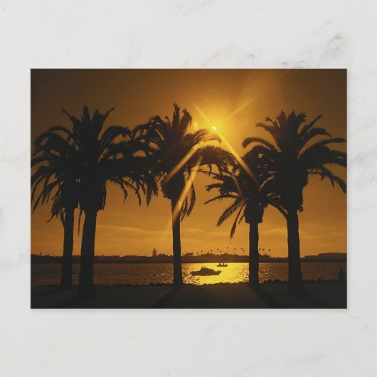 Hintergrund des tropischen Luftraums Postkarte (Vorderseite)