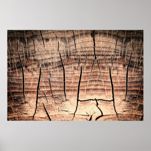 Hintergrund eines Holzstifts, Alter, Alterung, Poster