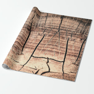 Hintergrund eines Holzstumpfabs, Alter, Alterung, Geschenkpapier