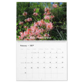 Hintergrund-Fotos-Kalender Kalender (Feb 2027)