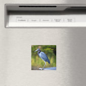 Hintergrund für Blue Egret Magnet (In Situ (Geschirrspüler))