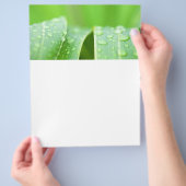 Hintergrund für grüne Blätter Flyer (Hand)