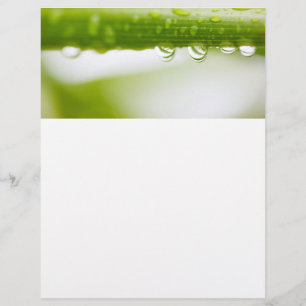 Hintergrund für grüne Blätter Flyer