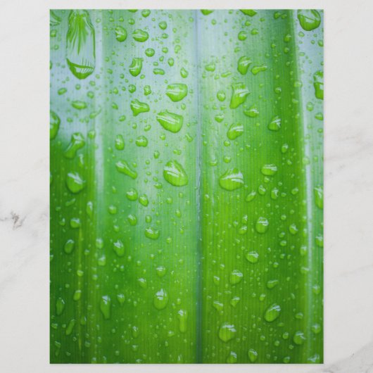 Hintergrund für grüne Blätter Flyer (Vorne)