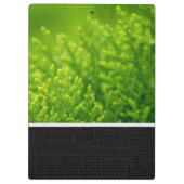 Hintergrund für grüne Blätter Klemmbrett (Rückseite)