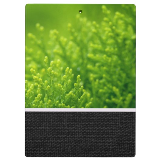 Hintergrund für grüne Blätter Klemmbrett (Rückseite)