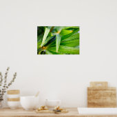 Hintergrund für grüne Blätter Poster (Küche)