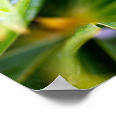 Hintergrund für grüne Blätter Poster (Ecke)
