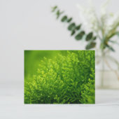 Hintergrund für grüne Blätter Postkarte (Stehend Vorderseite)