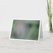 Hintergrund für grüne Weichheit Karte (Vorderseite)