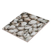 Hintergrund für Muscheln Fliese (Seite)