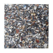 Hintergrund für Muscheln Fliese (Vorderseite)