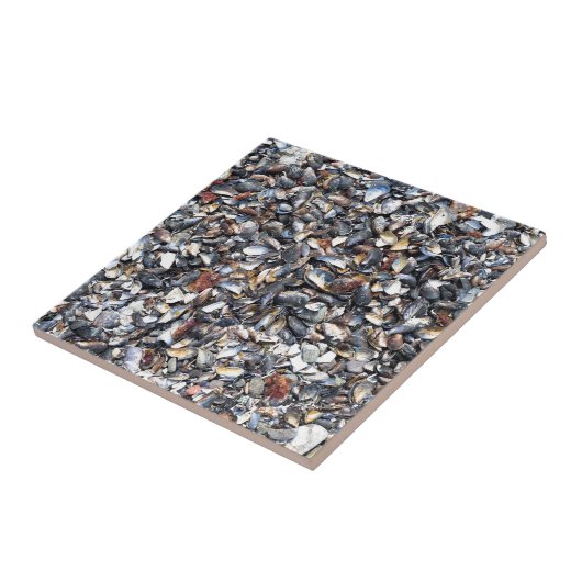 Hintergrund für Muscheln Fliese (Seite)