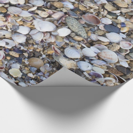 Hintergrund für Muscheln Geschenkpapier (Ecke)