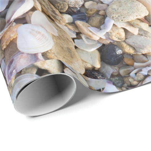 Hintergrund für Muscheln Geschenkpapier (Rolleneckpunkt)