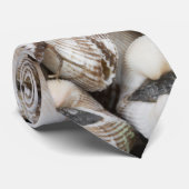 Hintergrund für Muscheln Krawatte (Gerollt)