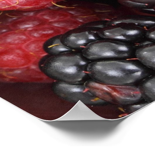 Hintergrund für Waldfrüchte Poster (Ecke)